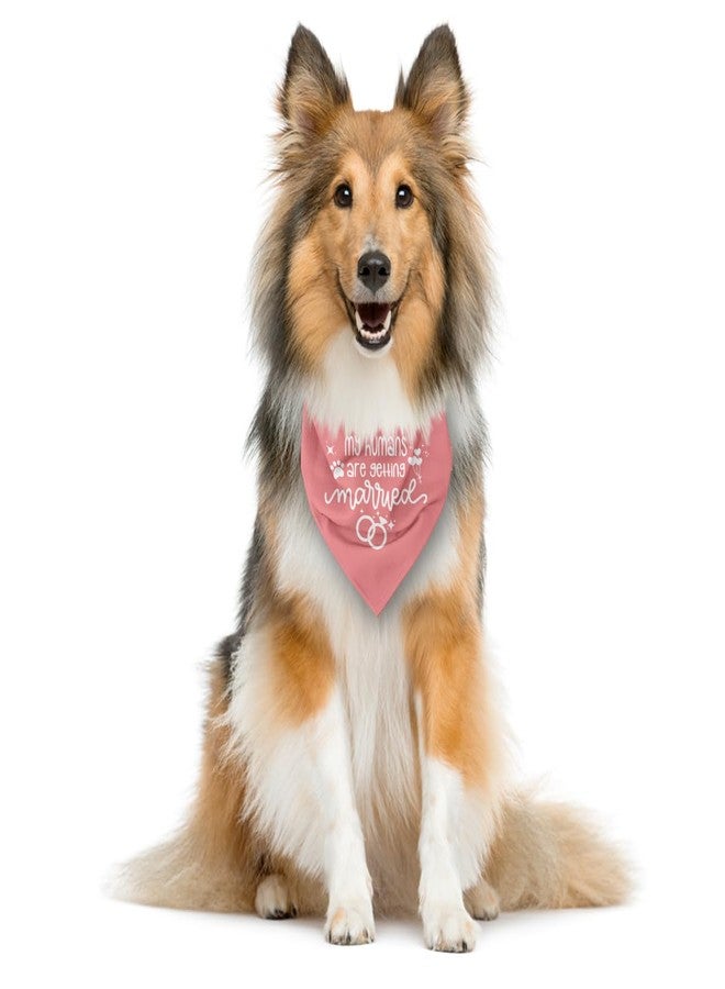 ZPPRJF My Humans are Getting Married Pink Dog Wedding Scarf for Dog Lover - Fits Small to Large Dogs (E46) - Image 3